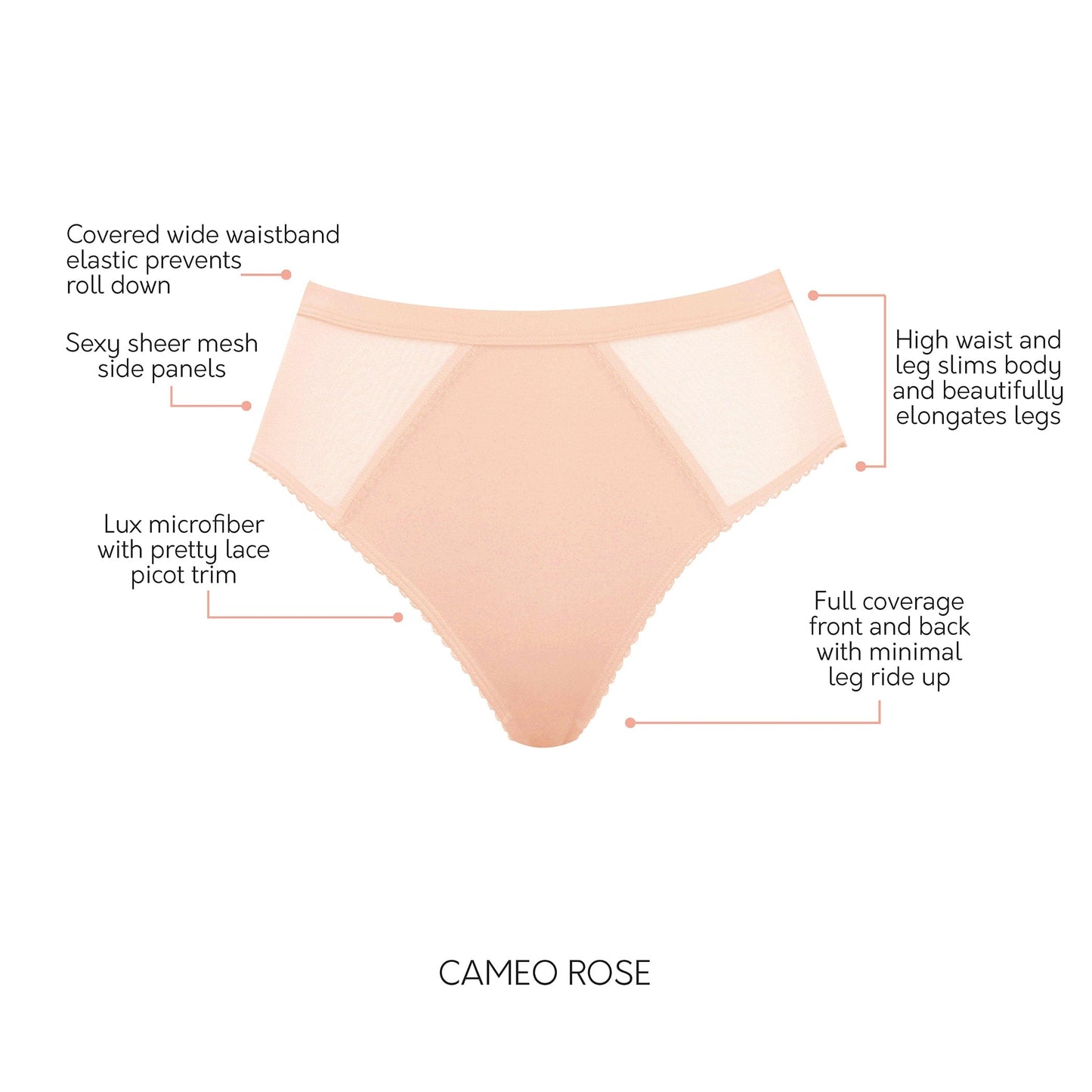 Micro Dressy PP306 French Cut High Waisted Sexy Sheer Panties - Cameo Rose