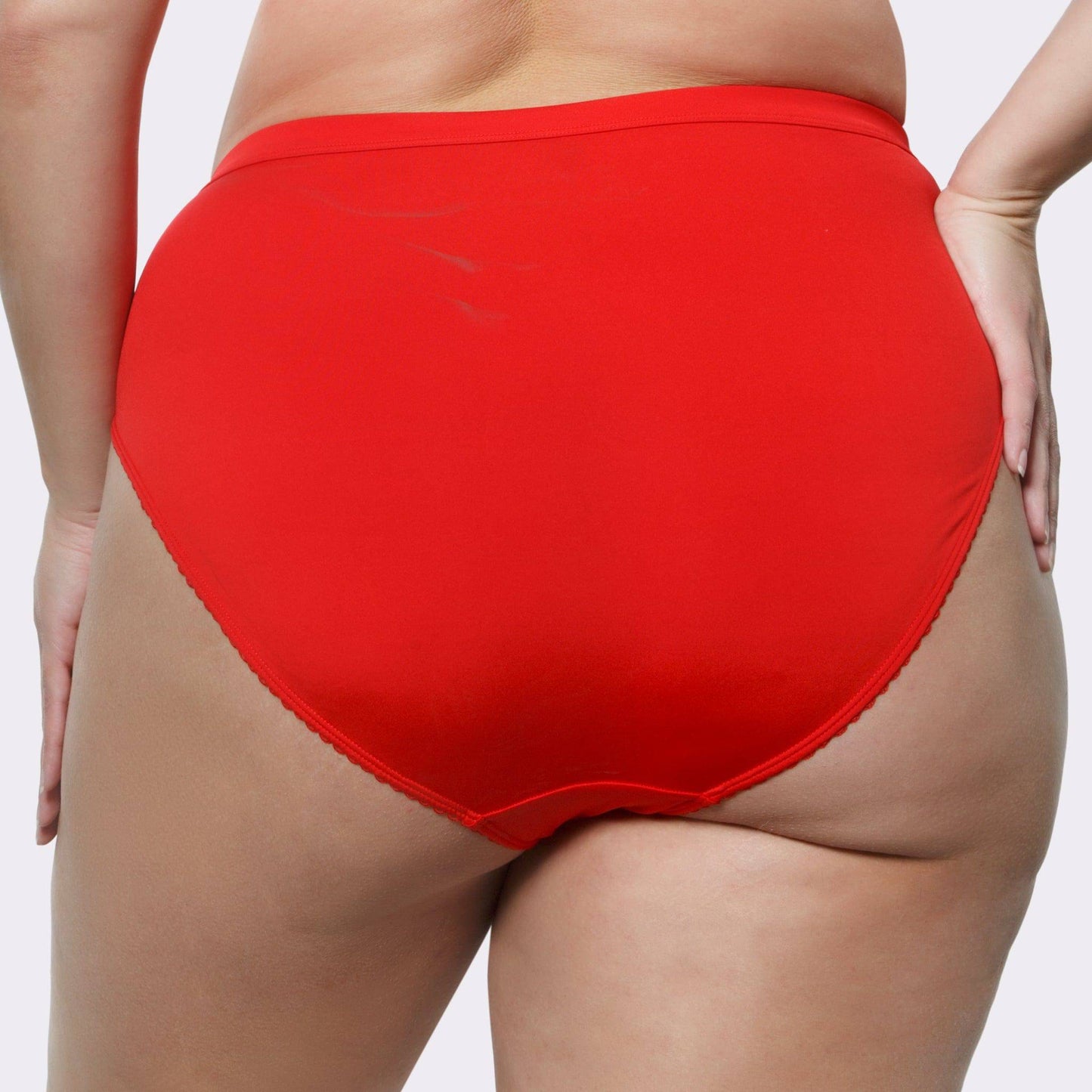 Micro Dressy PP306 French Cut High Waisted Sexy Sheer Panties (2 Pack) - Racing Red